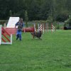 agility 2011-09